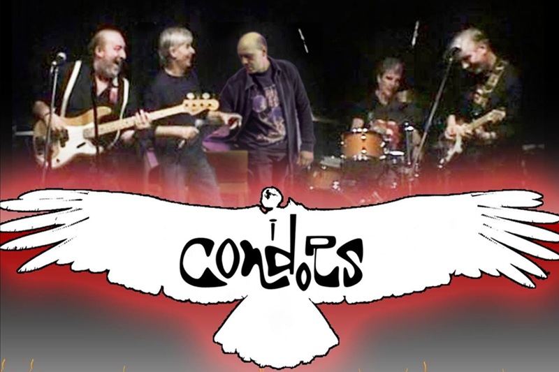 condors condors